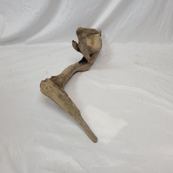 Ohio River Driftwood 39"x11"x11.5" - Picture 4 of 4